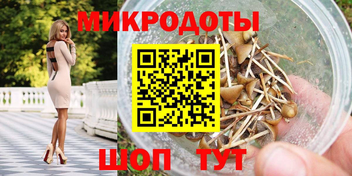 Галлюциногенные грибы Psilocybine cubensis Троицк