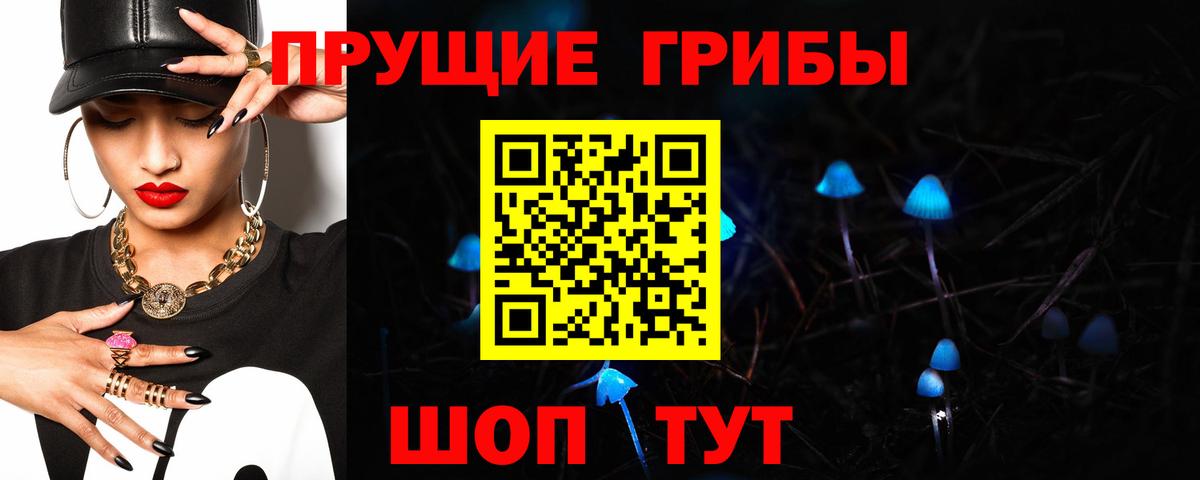 закладка  Галлюциногенные грибы Psilocybe  Вход с VPN  Троицк 